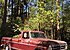 1971 Ford F250 2WD Regular Cab for sale 101100757